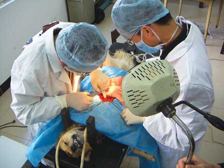 動物無菌實(shí)驗(yàn)室